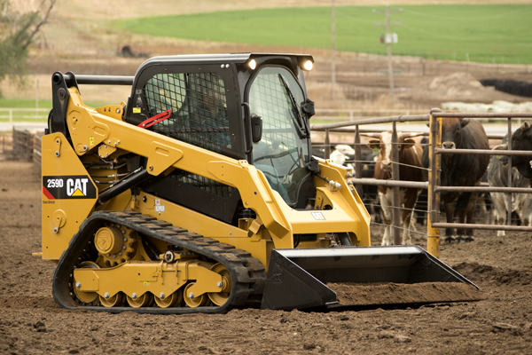 Yellow CAT skid steer loader operating near cattle