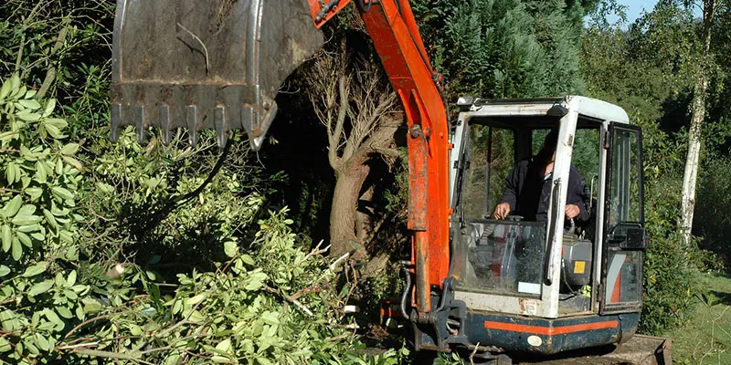 Excavator clearing trees in a lush green forest