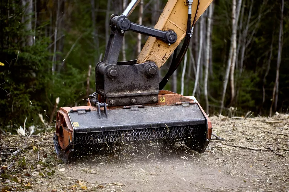 Excavator with mulcher clearing forest land